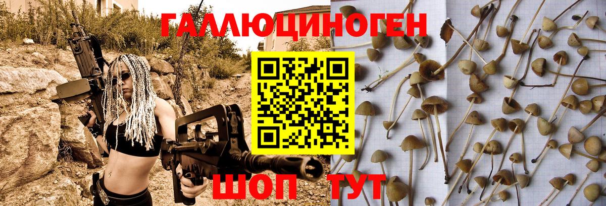Галлюциногенные грибы прущие грибы  Псилоцибиновые грибы MAGIC MUSHROOMS  Ногинск  Вход с VPN 